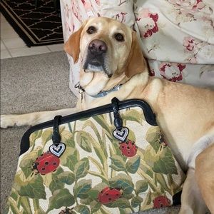 Brighton lady bug bag
